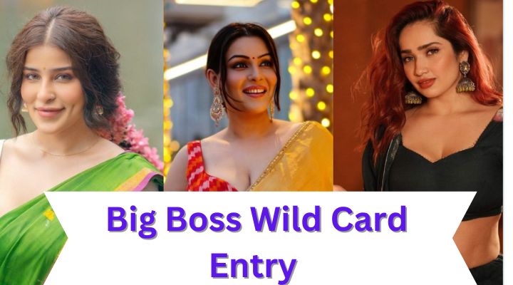 big boss Wild card entry