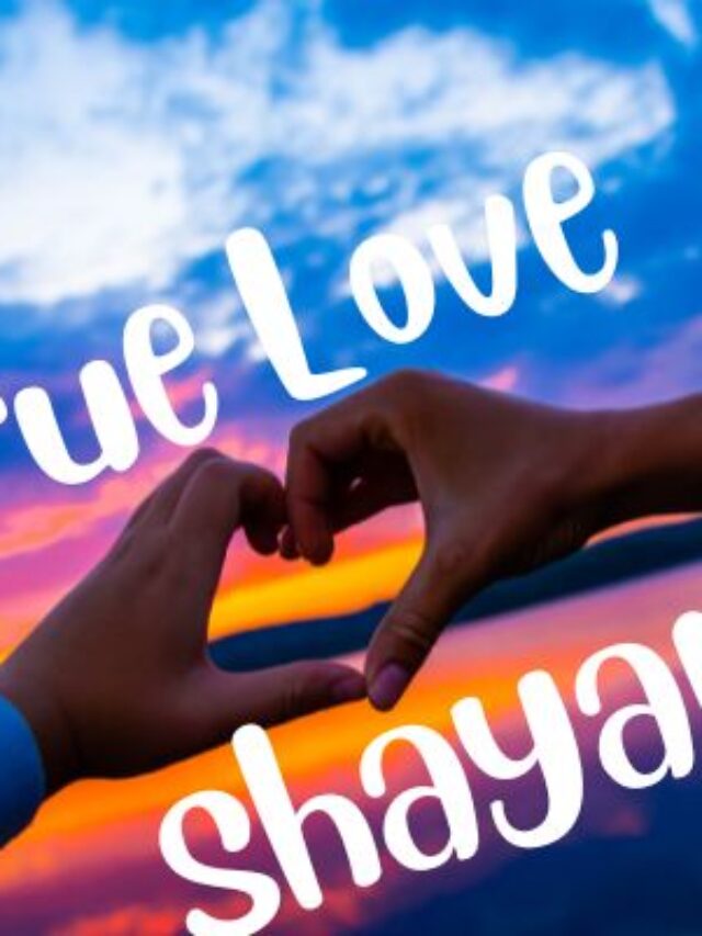true love love shayari​