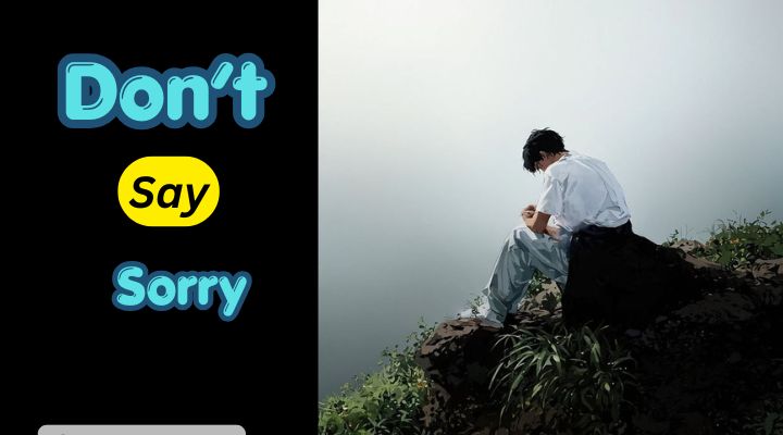 Don't Say Sorry Meaning in Hindi